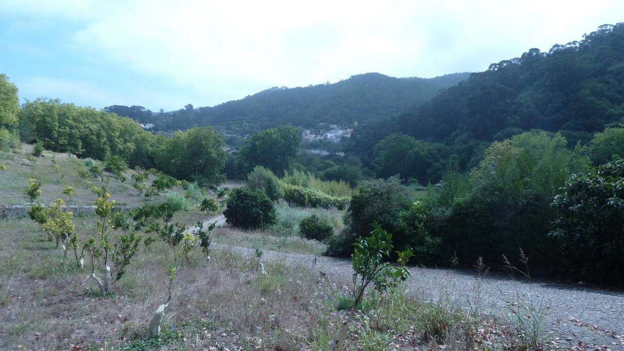 シントラRibeira Dos Marinheiros Amareloアパートメント エクステリア 写真