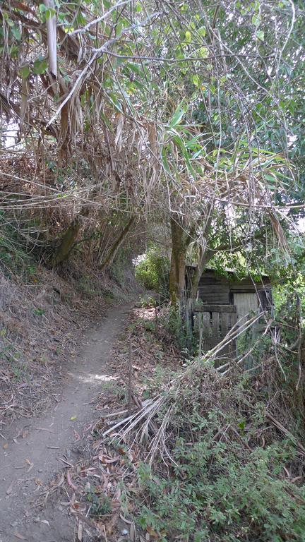 シントラRibeira Dos Marinheiros Amareloアパートメント エクステリア 写真